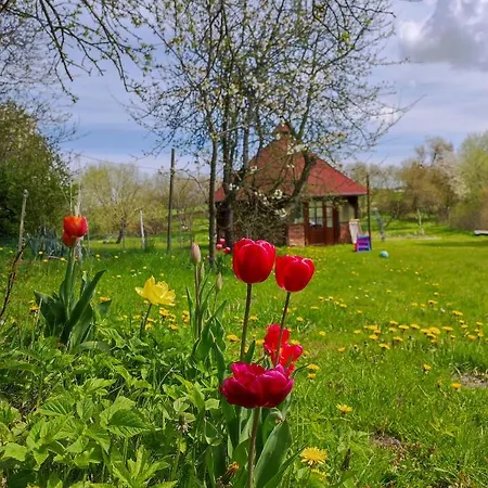 Nad Stawami Habitación en casa particular