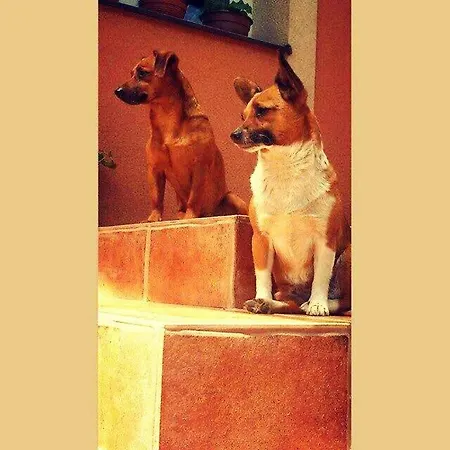 Nad Stawami Habitación en casa particular Zwartowko