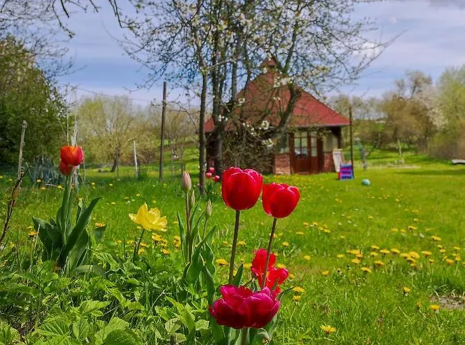 Nad Stawami منزل للإقامة